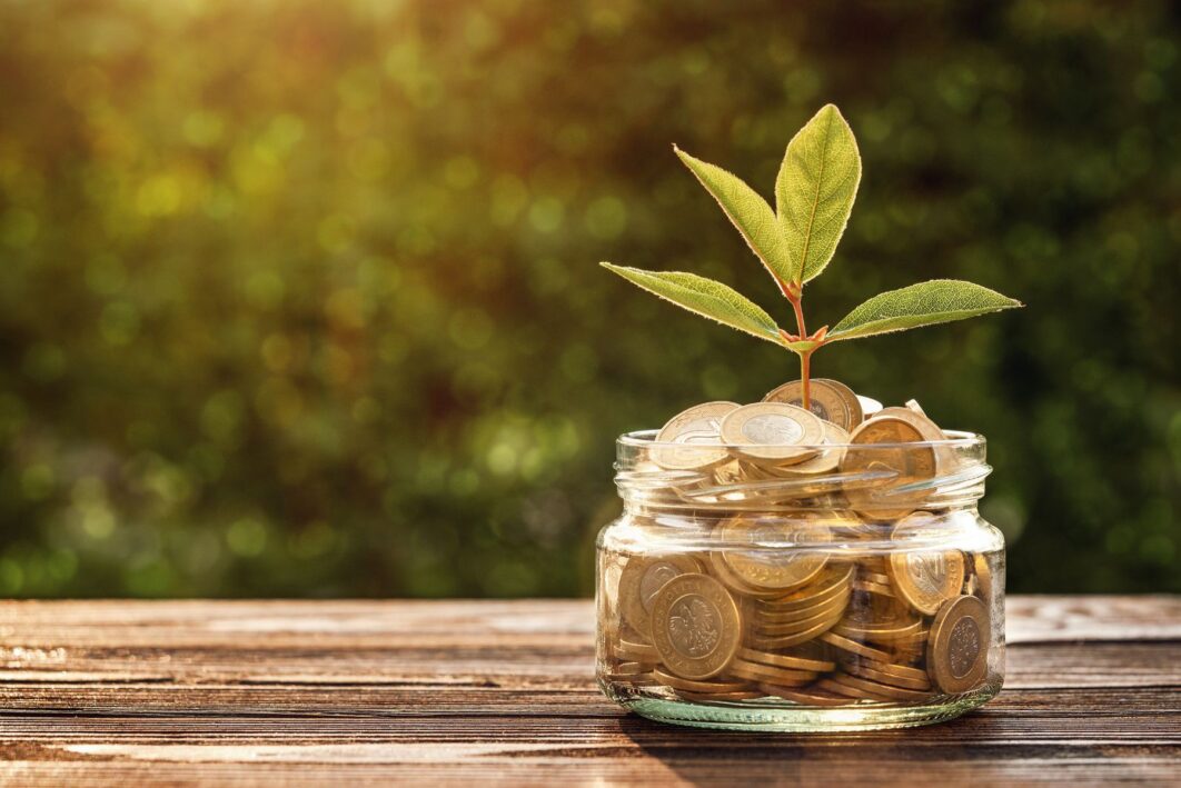A money pot with a flower growing out of it