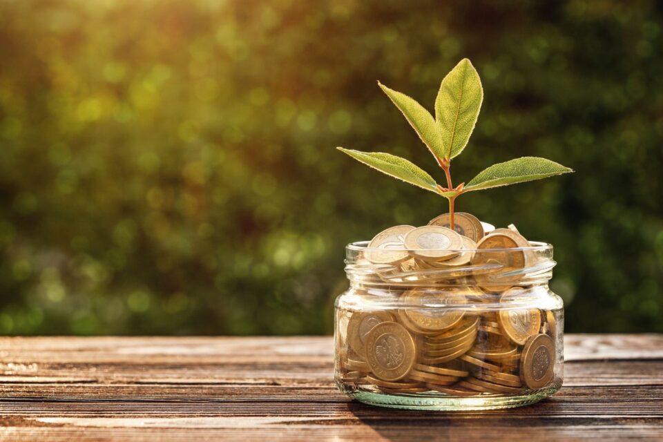 A money pot with a flower growing out of it