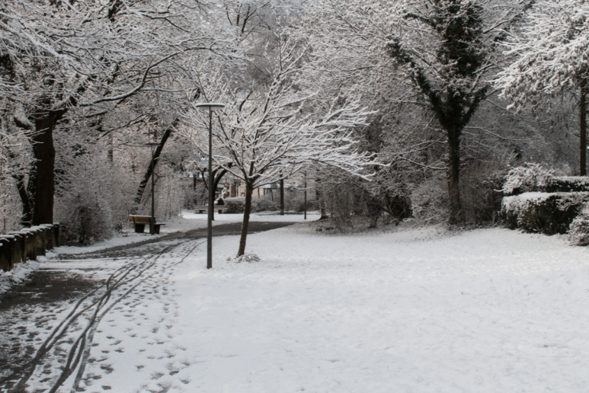 A park that's covered in snow. There's a path going through the park that's been cleared of snow. Trees show in the distance and they're covered in snow too.