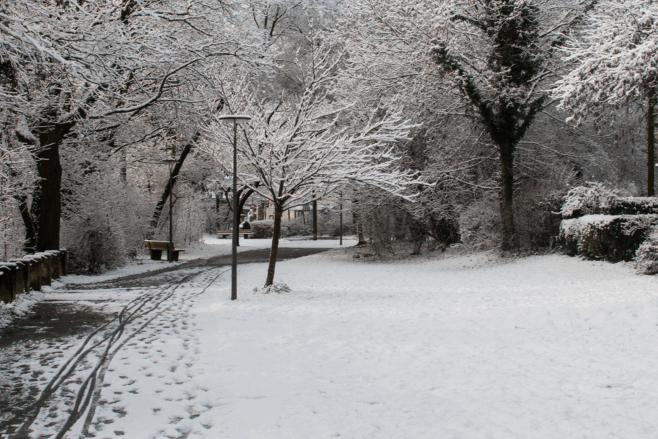 A park that's covered in snow. There's a path going through the park that's been cleared of snow. Trees show in the distance and they're covered in snow too.