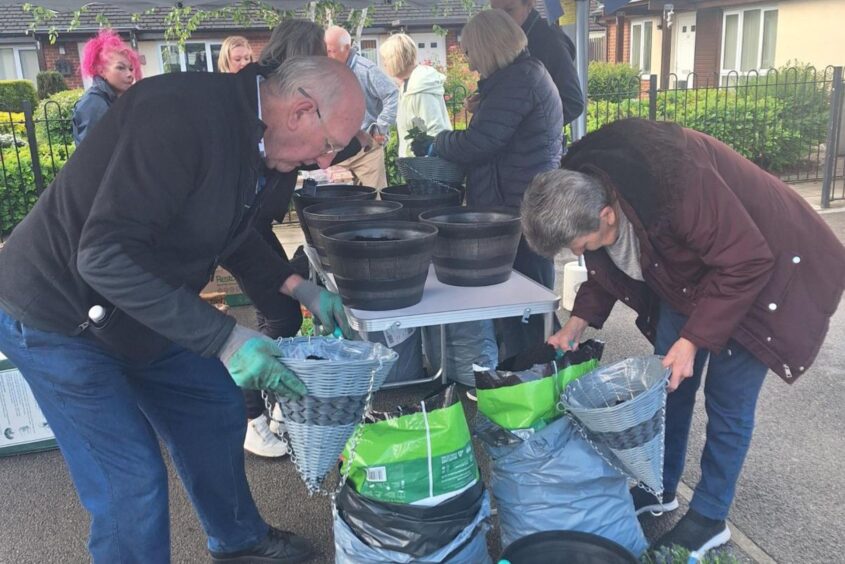People putting flowers into pots