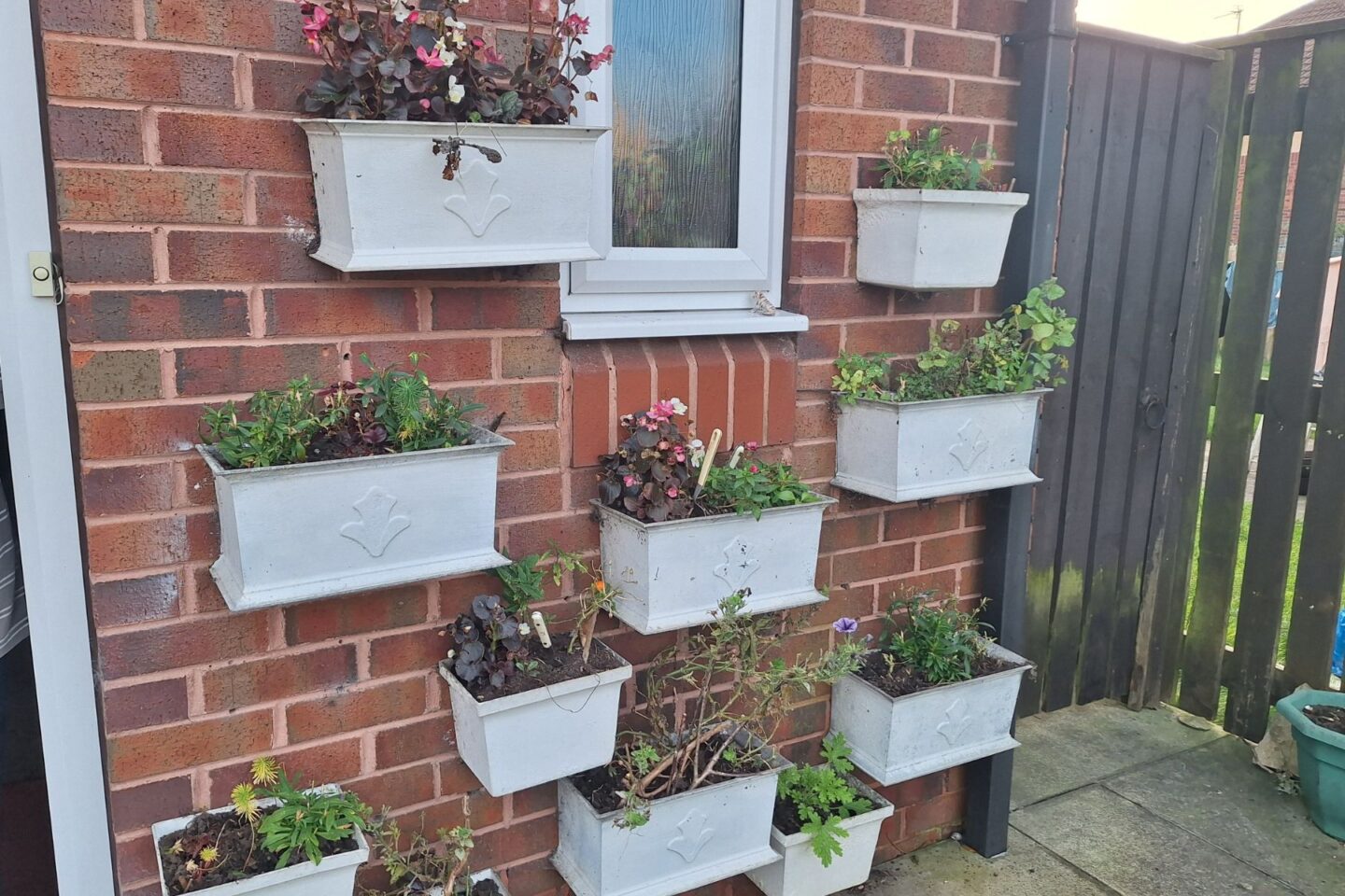 Planters on a wall