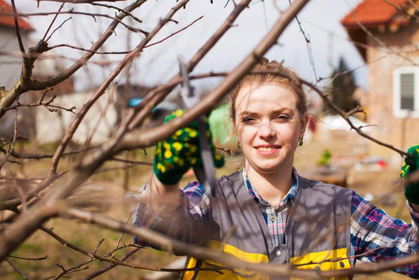 Woman pruning a tree in her garden. She is wearing gardening gloves and an overall