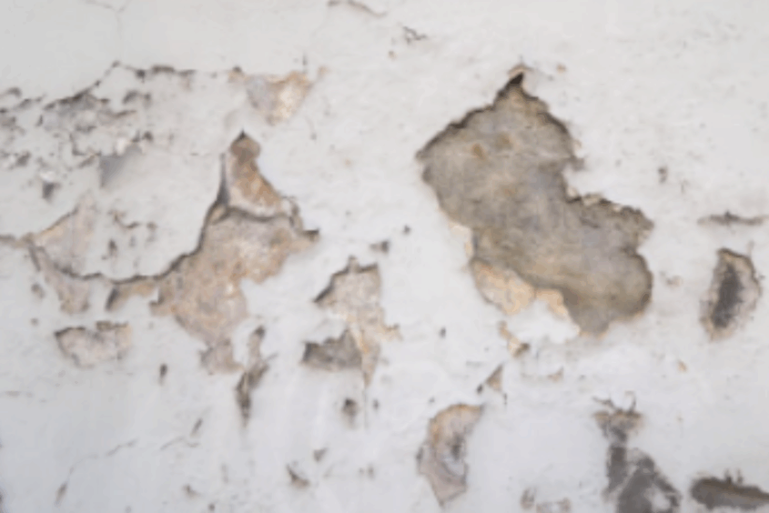 Peeling wallpaper from damp