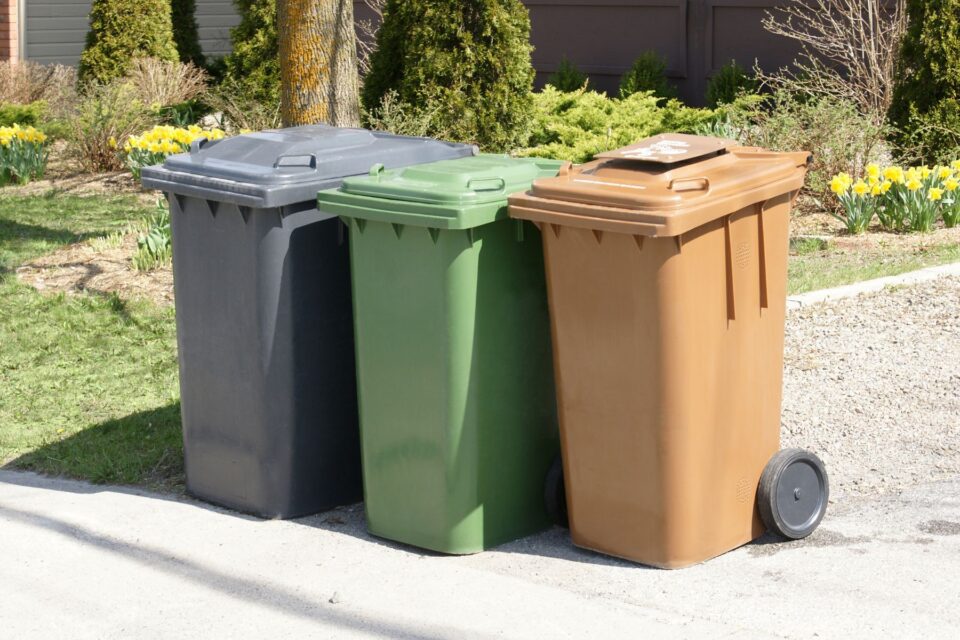 Row of bins, one green, one black and one brown