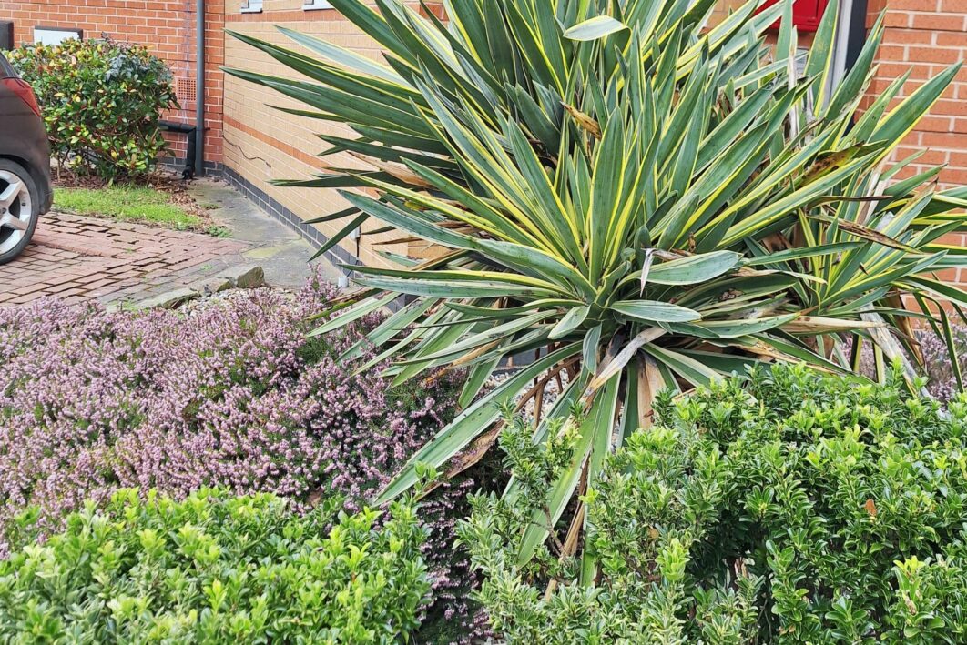 Gardens at Fewston Court