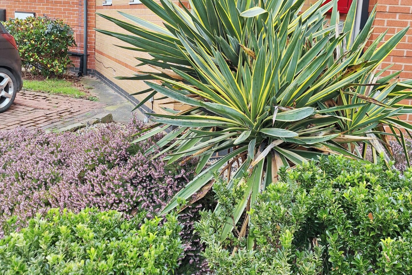 Gardens at Fewston Court