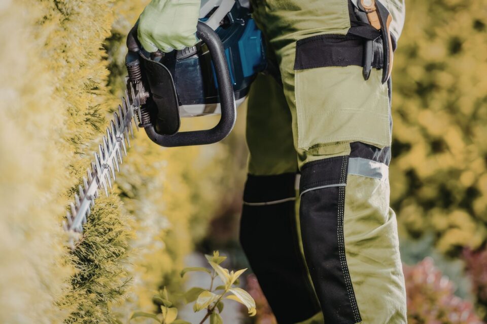 Person using a hedge strimmer